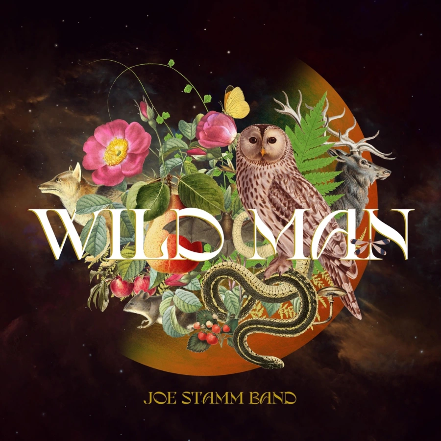 Album Review: Joe Stamm Band – ‘Wild Man’